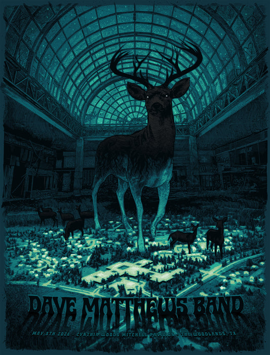DMB - woodlands, TX - regular