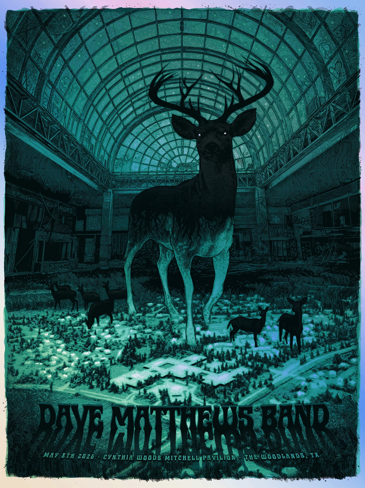 DMB - woodlands, TX - foil