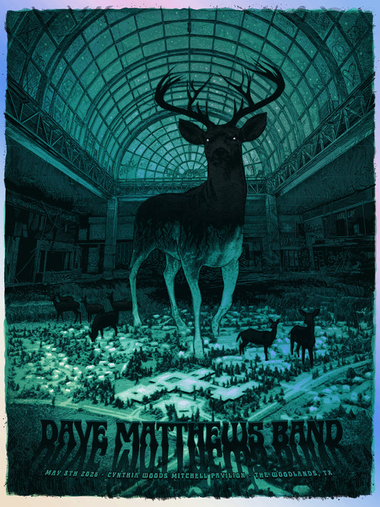 DMB - woodlands, TX - foil
